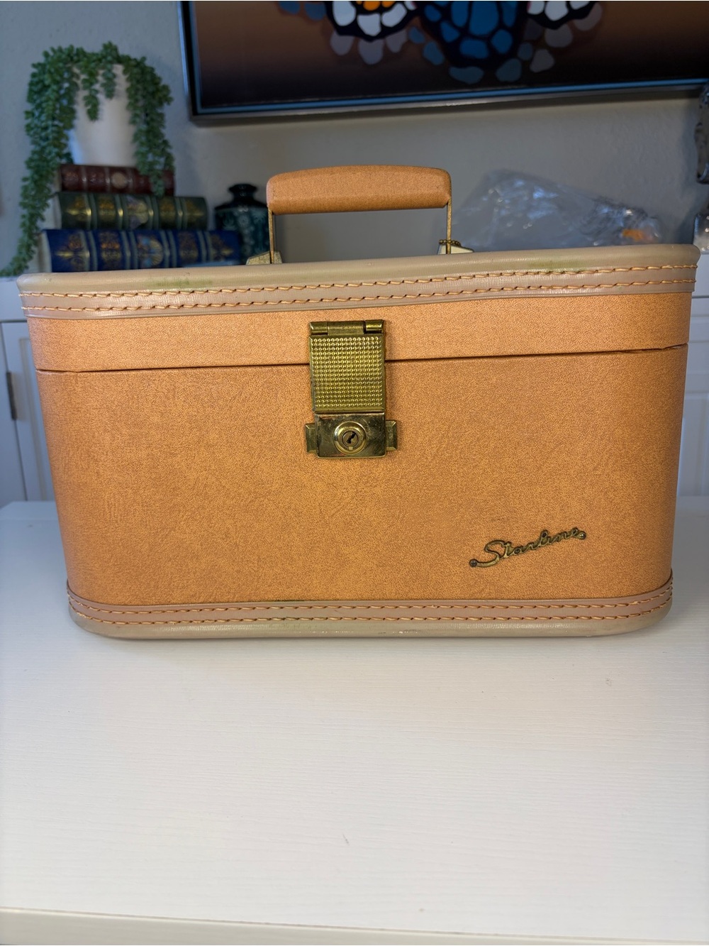 Vintage Starline by Lady Baltimore Travel Train Case with Mirror, Tray & Key 🔑